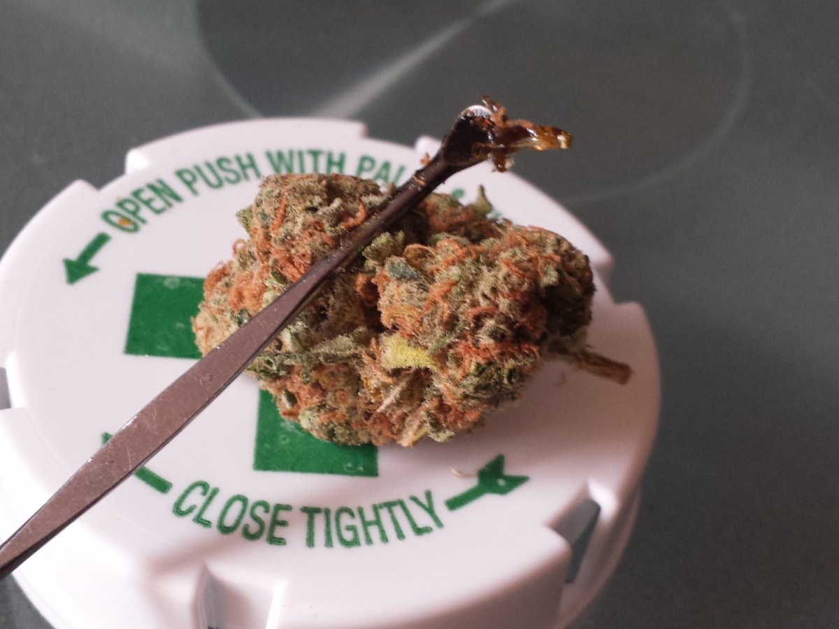 Strain Review: Pirates Booty from&nbsp;LivWell