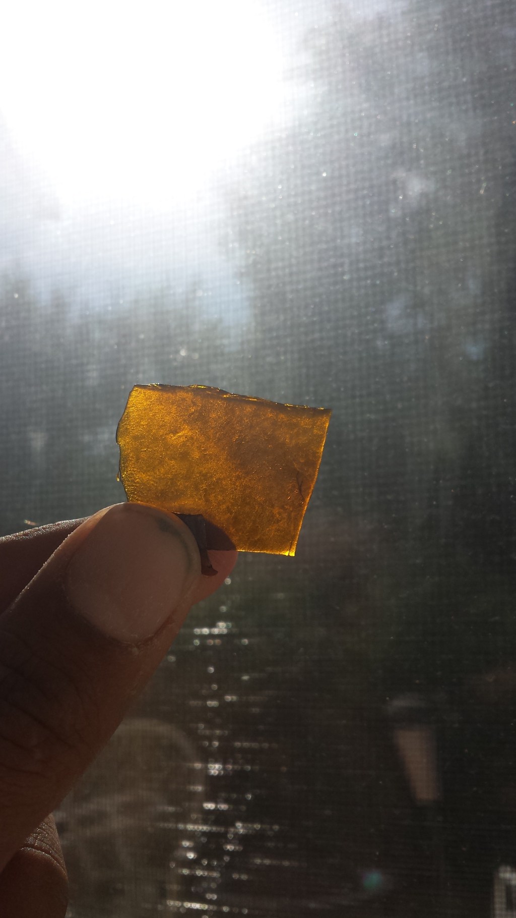 Tree of Wellness Sativa Gold Shatter Review