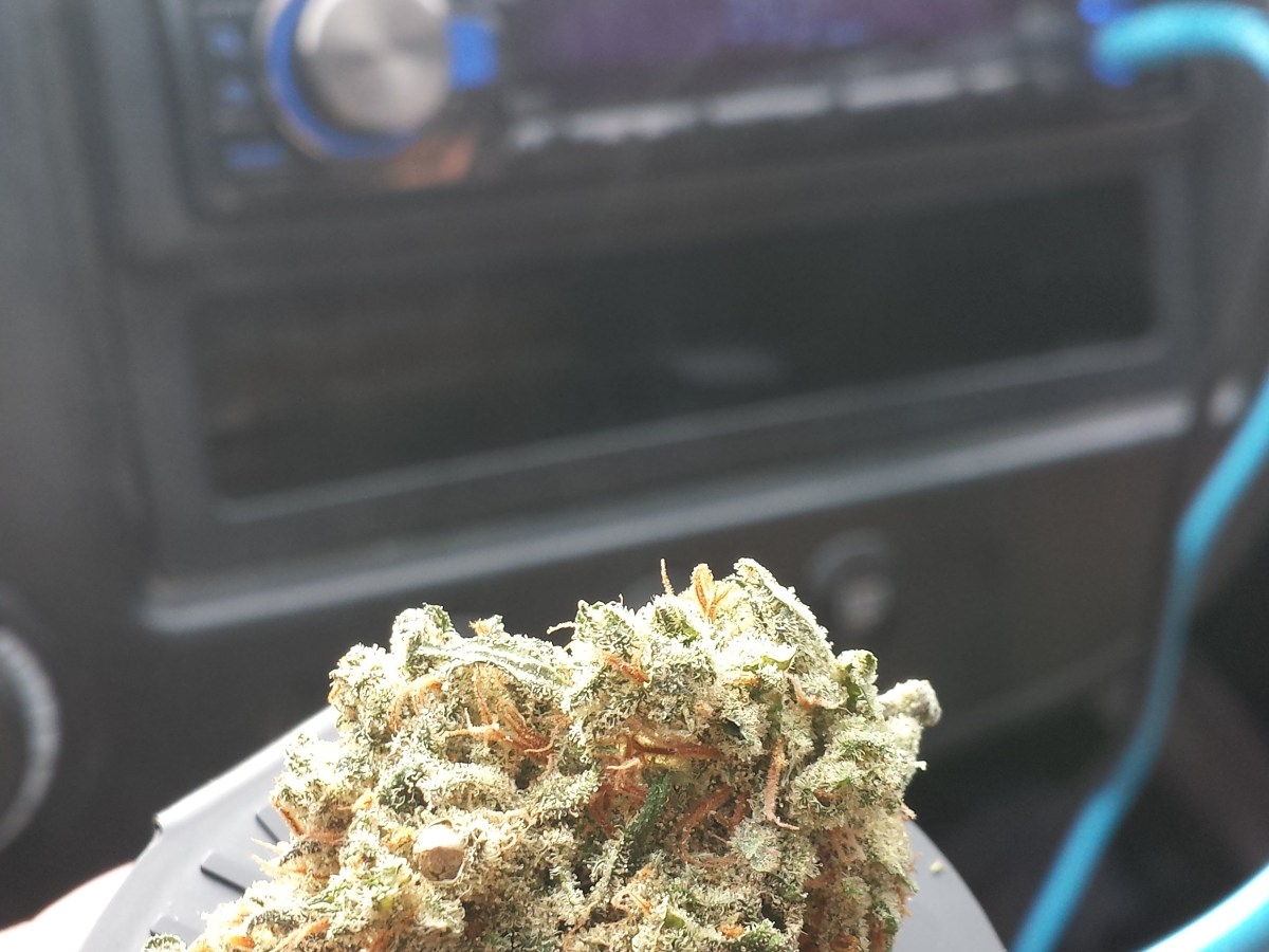 Strain Review: Super Lemon Haze ( New Age&nbsp;Medical)
