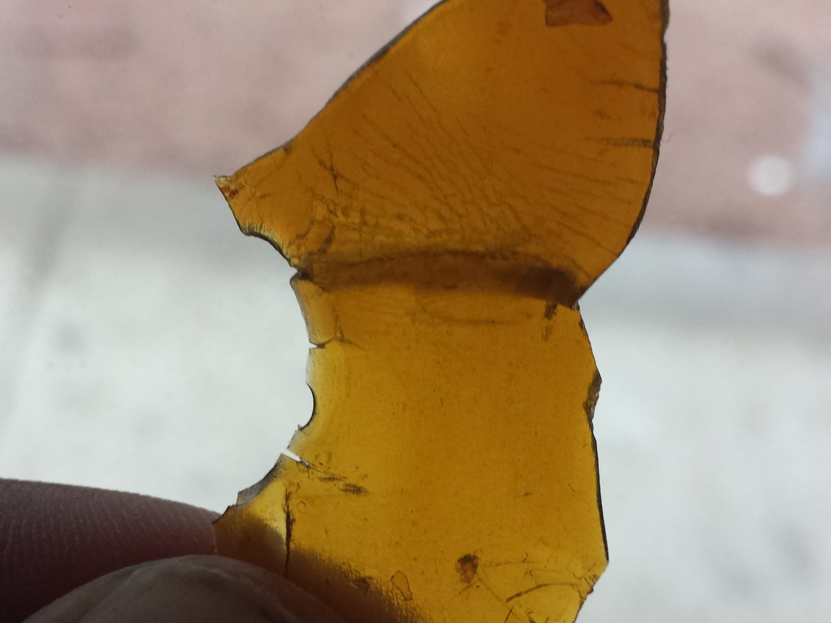 818 Headband Shatter Review from Green & Healthy&nbsp;Wellness