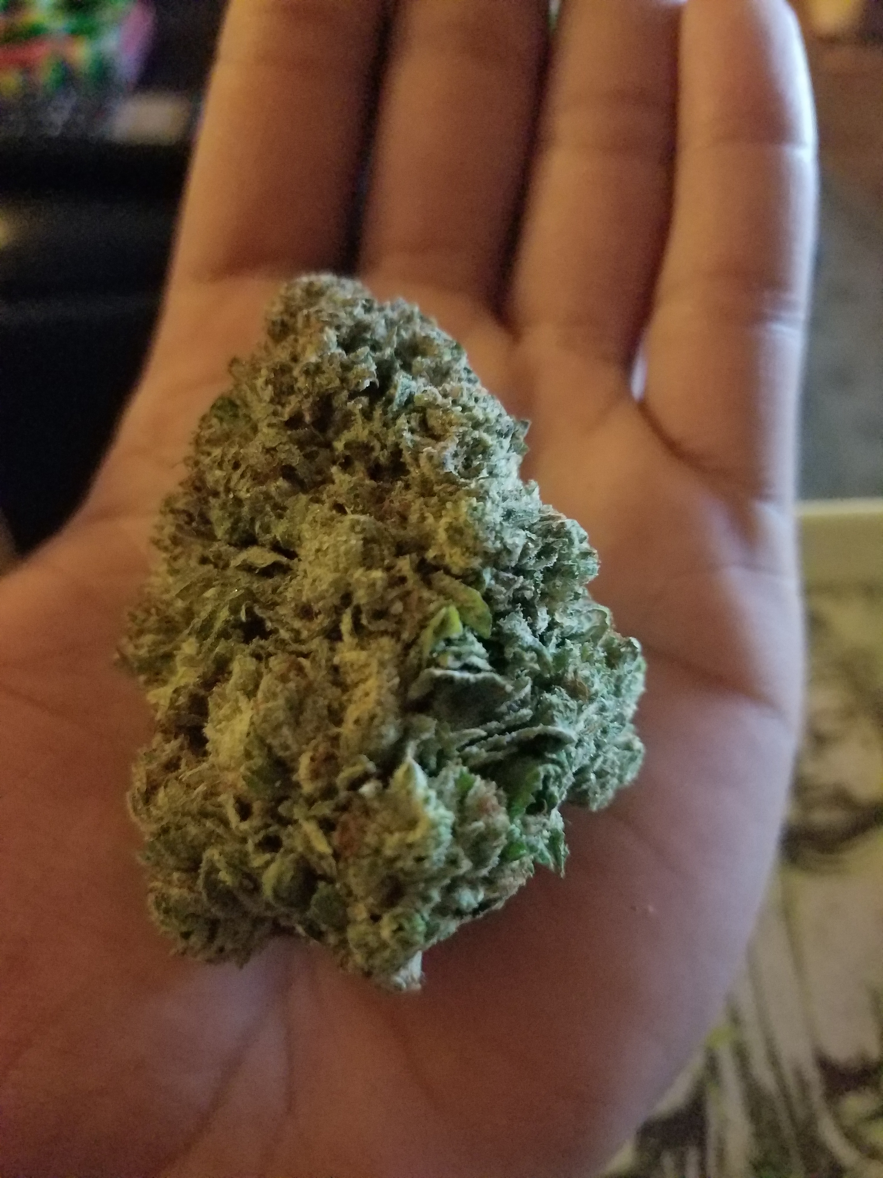 kimbo kush 2