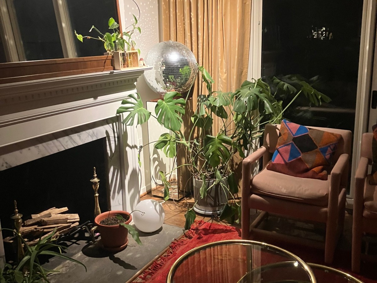 Local Artist Spotlight: From Denver to Baltimore with The Shaky&nbsp;Experience